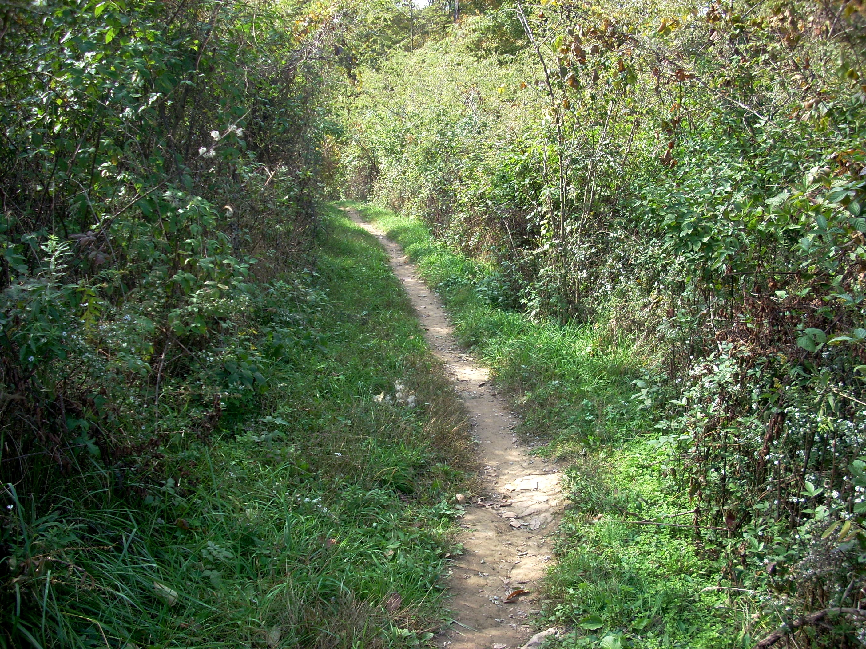 Raven Run Hiking Red Trail